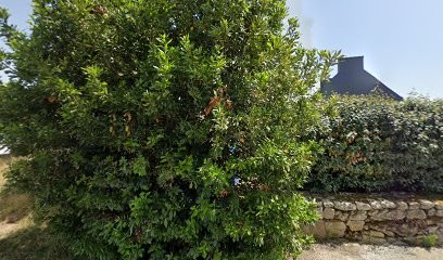 François Moizan Architecte, Architecte à Étel