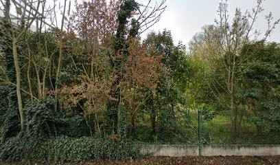 Le bureau baroque, Architecte à Bègles