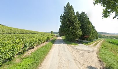 Archi.Projet, Architecte à Passy-Grigny