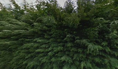 Anais Marmorat, Architecte à Demigny