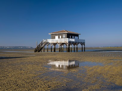 Atelier Dubrous & Associées, Architecte à La Teste-de-Buch