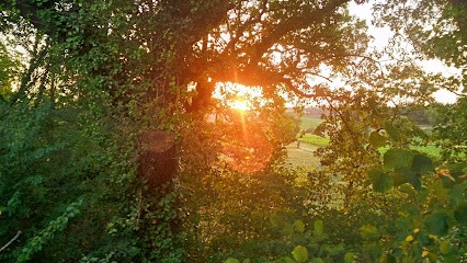 Van Der Elst Anne, Architecte à Saint-Genès-de-Castillon