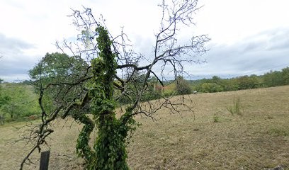 Architecte Constensou Laura, Architecte à Cardaillac