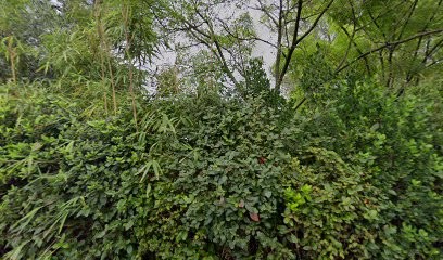 Agence Nicolas Lourd Nicolas, Architecte à Alès