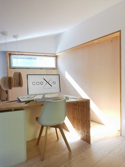 coeXis architecture, Architecte à Lyon 09