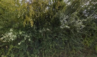 LOISY Pauline Architecture, Architecte à Abondant