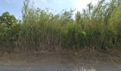 Architecte Olivier Raynaud, Architecte à Sainte-Marie-la-Mer