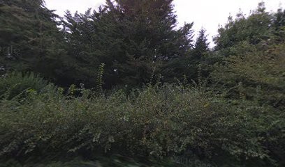 Victor Vallin Architectes, Architecte au Palais