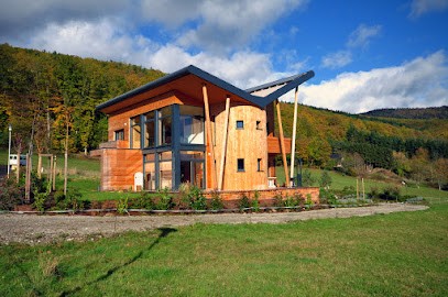 Walden - Ingénierie Et Architecture Bois, Architecte à Strasbourg
