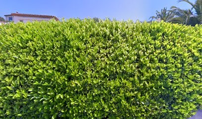 Mine Jean Marie, Architecte à Grasse