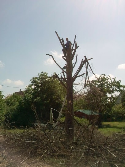 Agence Benoît Herrmann Architecte, Architecte à Ribeauvillé