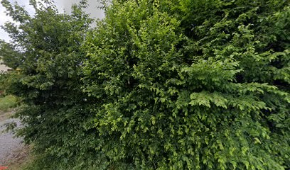 Kuffler Schmitt Laurence, Architecte à Honskirch