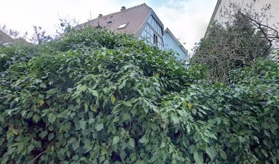 CB Conseil, Architecte à Schiltigheim