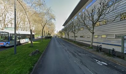 Menhir Architectes, Architecte à Montreuil