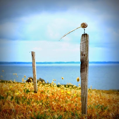 Pascal ADAM architecte, Architecte à Kernilis