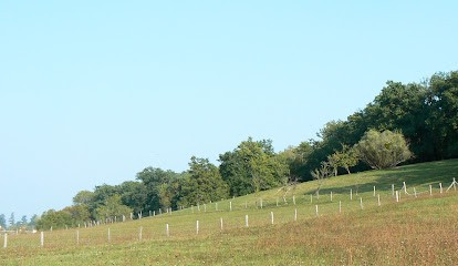 Robin ANNETT architecte DPLG, Architecte à Saint-Céré