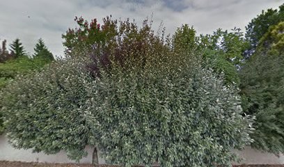 Allemang Denis, Architecte à Saint-Vincent-de-Paul