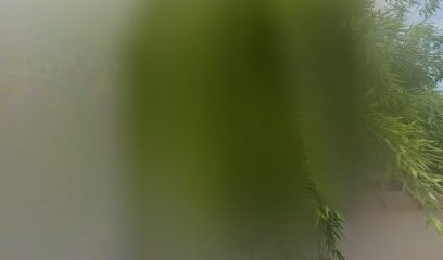 Jean-Pierre Gaignard / Architecte Intérieur, Architecte à Saint-Maur-des-Fossés