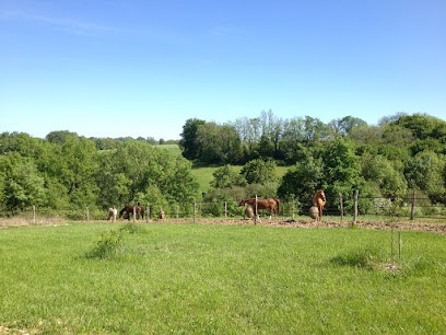 Agence ARA (Architecture Raphaël MasnadA), Architecte à Monségur