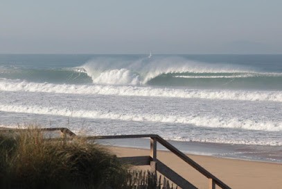 Dessin Bâtiment, Architecte à Sort-en-Chalosse