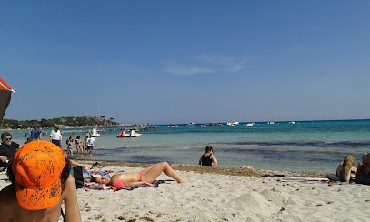 Marchi Yves, Architecte à Lecci