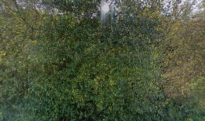 Aod Architecture - Erell Rannou Architecte, Architecte à Guipavas