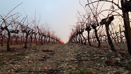 Atelier d'Architecture Bioclimatique, Architecte à Venterol