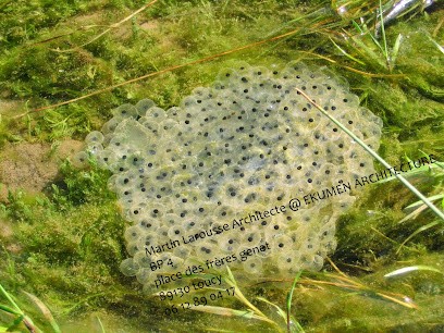 LAROUSSE Martin ARCHITECTE, Architecte à Toucy