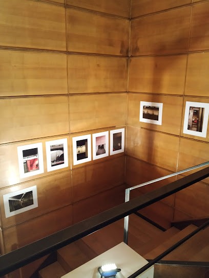 Atelier Didier Dalmas Architectes Associés, Architecte à Lyon 09