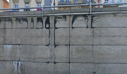 Vial-voiron Victor-John, Architecte à Lyon 09