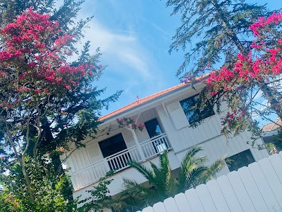 Yellow Ginkgo, Architecte à Andernos-les-Bains