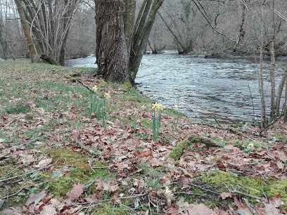 Villeneuve-Bergeron Marie-Dominique, Architecte à Saint-Priest-Taurion