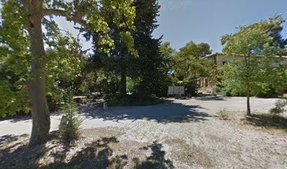 Vinicius Raducanu Architecte, Architecte à Lattes