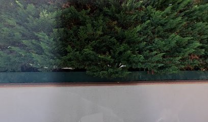 Kronfol Badih, Architecte à Toulouse