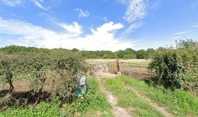 Albizzati François, Architecte à Vierzon