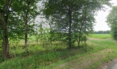 Art Scenic, Architecte à Mordelles