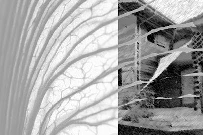 SARL D'architecture L. Bouchet-Trillault - Lbt.a, Architecte à Perrignier