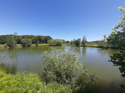 Pierre & Bois conception, Architecte à Fiac