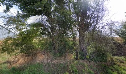 Vaillant Jean-Charles, Architecte à Challet