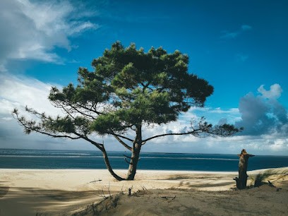 ARA Attanasio Roxane, Architecte à Gujan-Mestras