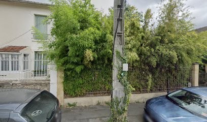 SCENEVOLUTION, Architecte à Montreuil