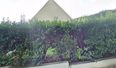 Renov AZ, Architecte à Paron