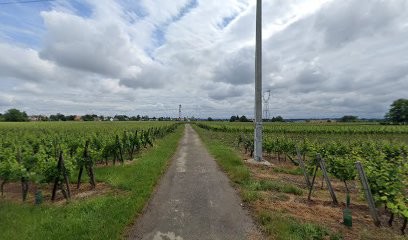M Jeanney Stephane Jeanne Jeanney Stephane, Architecte à Wintzenheim