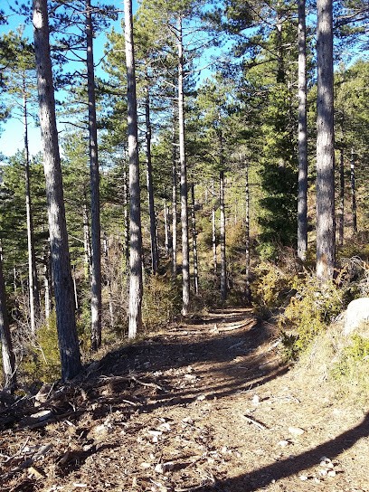 Di Costanzo Pascale, Architecte à Soubès