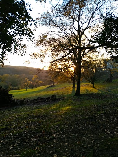 Agence Garon-Vaganay, Architecte à Vienne