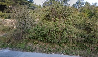 Logic MMD, Architecte à Bandol