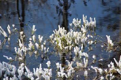 Alice Bernard, Architecte à Saint-Laurent-du-Cros