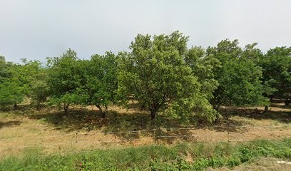 Chenal Elodie ARCHITECTE eirl, Architecte à La Baume-de-Transit