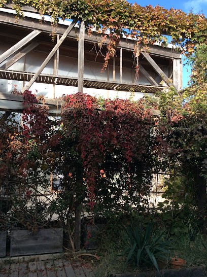 Philippe Bonzom, Architecte à Sète